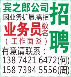 萊蕪市金點(diǎn)子最新招聘，人才新起點(diǎn)探尋之旅