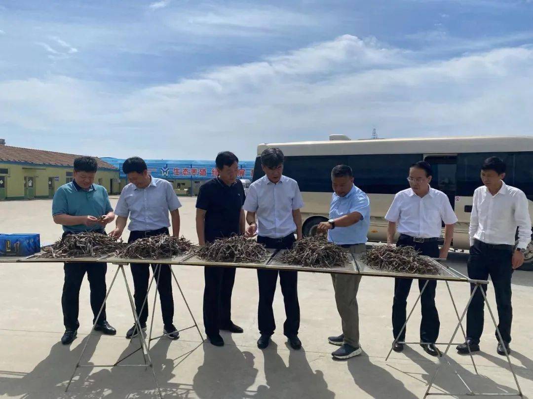 長島縣農(nóng)業(yè)農(nóng)村局新項(xiàng)目引領(lǐng)農(nóng)業(yè)升級(jí)，鄉(xiāng)村振興再添動(dòng)力