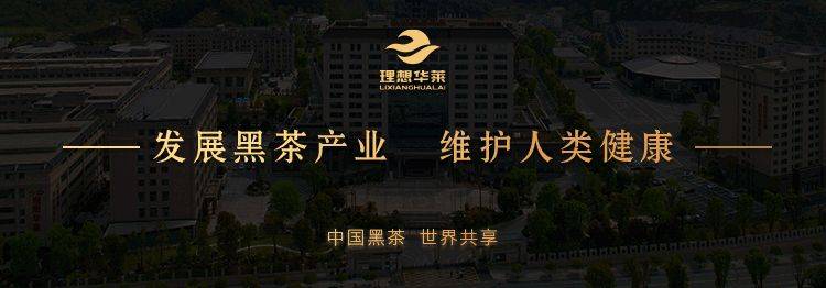 安化華萊健黑茶最新動(dòng)態(tài)報(bào)道